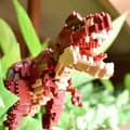 Miniatyrbillede 2 af 6: Nanoblock - NBM-031 - Nanoblock Tyrannosaurus Rex - Deluxe-udgave