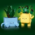 Miniatyrbild 4 av 6: LEGO Botanicals 10349 Små Leende Växter - Byggset för flickor, 9 år