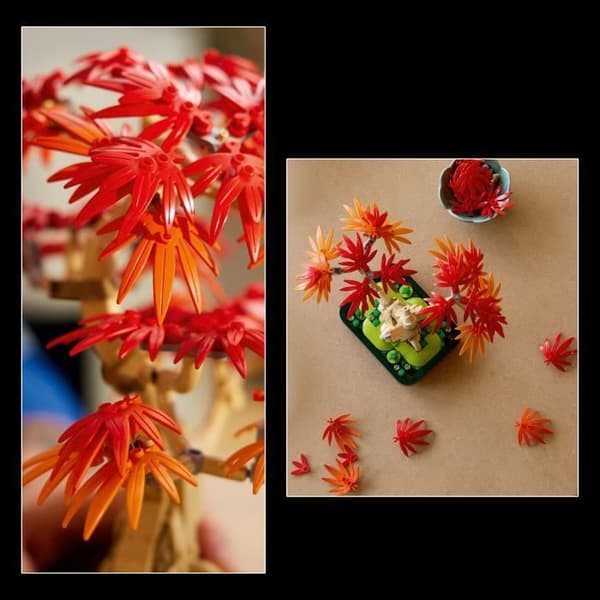 LEGO Botanicals 10348 Röd Japansk Lönn - Byggsats för Vuxna