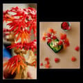 Miniatyrbild 4 av 6: LEGO Botanicals 10348 Röd Japansk Lönn - Byggsats för Vuxna