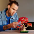 Miniatyrbild 5 av 6: LEGO Botanicals 10348 Röd Japansk Lönn - Byggsats för Vuxna