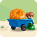 Miniatyrbillede 10 af 11: LEGO Duplo 10993 Træhus 3 i 1 Stort Sæt