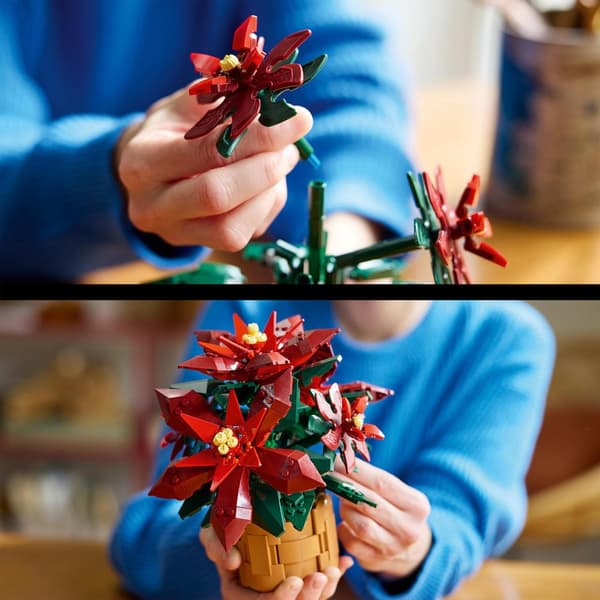 LEGO Botanicals ICONS 10370 Joulutähtikukkien koriste