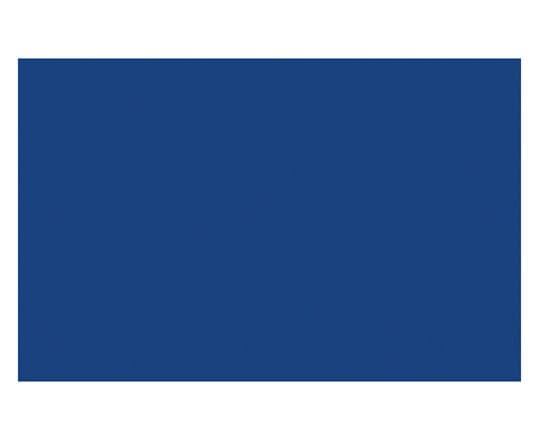 Ac Spray 400Ml Phthalo Blue 5 (Red Sh) 5316