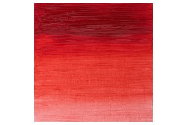 Artists oil colour 37ml quinacridone red 548