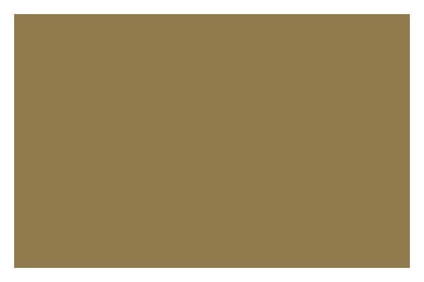 Ac Spray 400Ml Iridescent Antique Gold 0237