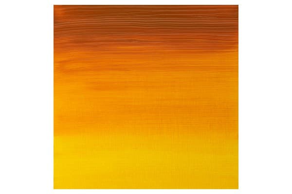 Artists oil colour 37ml Indian yellow 319