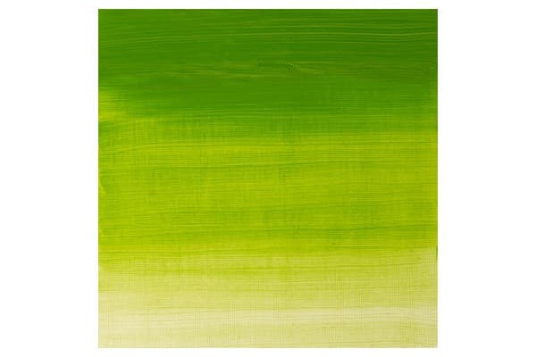 Winton oil 37ml chrome green hue 145