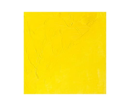 Winton oil 37ml cadmium lemon hue 087