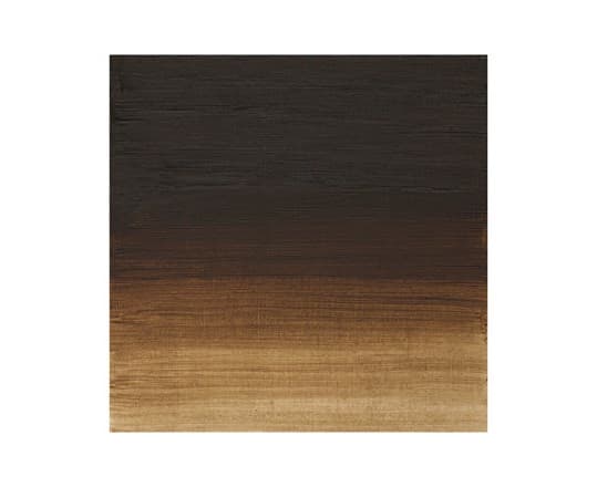 Artists oil colour 200ml raw umber 554