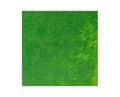 Pikkukuva 1 / 2: Winton oil 37ml permanent green light 483