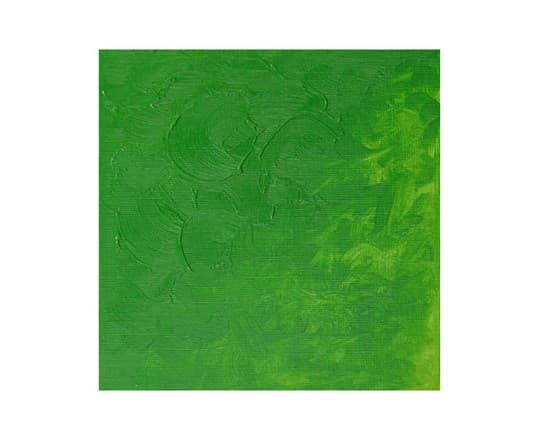 Winton oil 37ml permanent green light 483
