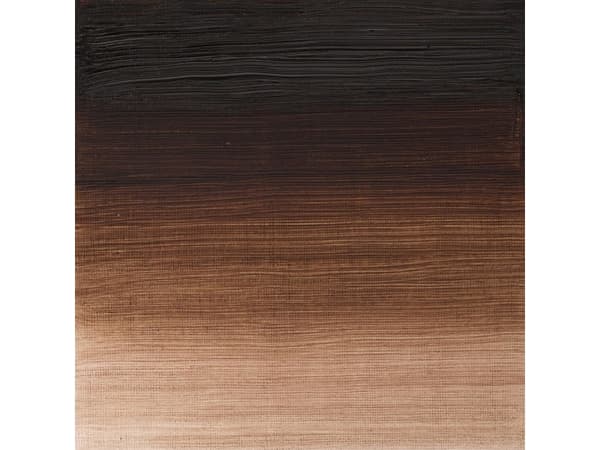 Winsor & Newton Winton, Brun, 37 ml, Rør, 1 stykker