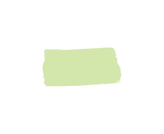 Paint Marker Wide Parchment 436