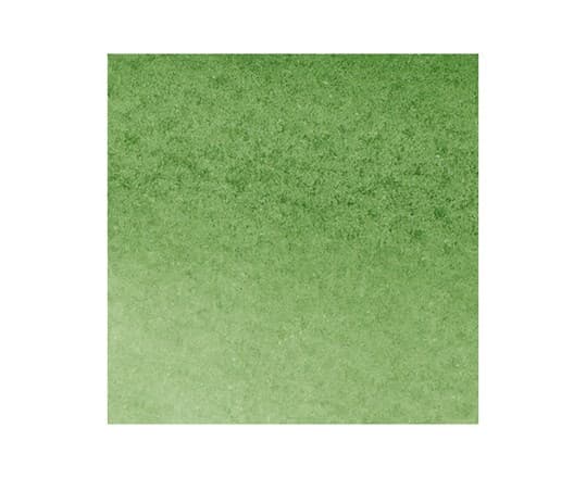 Winsor & Newton 0201311, Grønn, Assorterte farger, Hooker''s Green, Fin/medium, Meisel-/kulespiss, Rund
