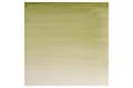 Miniatyrbilde 2 av 2: Watercolour proff. 1/2 pan Terre Verte 638