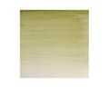 Miniatyrbilde 1 av 2: Watercolour proff. 1/2 pan Terre Verte 638