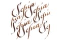 Miniatyrbild 4 av 4: Winsor & Newton Calligraphy, Brun, 30 ml, 1 styck