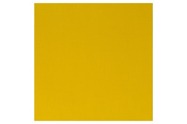 Proff. acrylic 60ml azo yellow medium 019