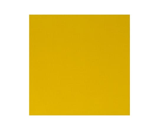 Proff. acrylic 60ml azo yellow medium 019