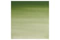 Miniatyrbilde 2 av 2: Watercolour proff. 1/2 pan Oxide Chromium 459