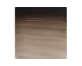 Miniatyrbild 1 av 2: Watercolour proff. 1/2 pan Sepia 609