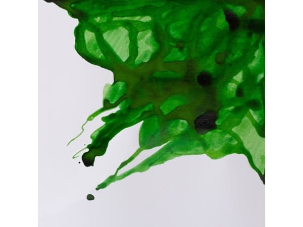Drawing Ink 14ml Apple Green 011