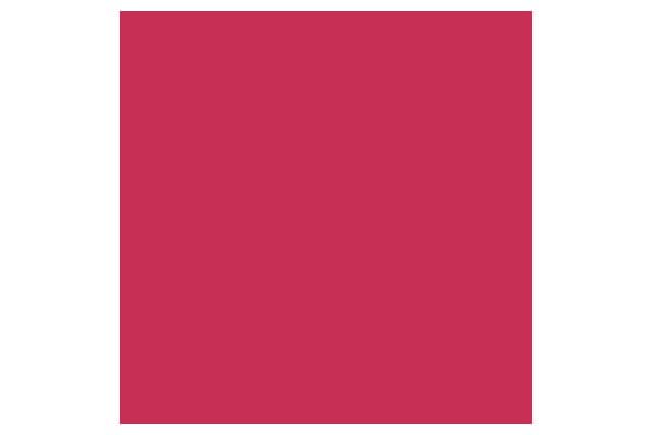 Pigment Marker Winsor Red Deep 725