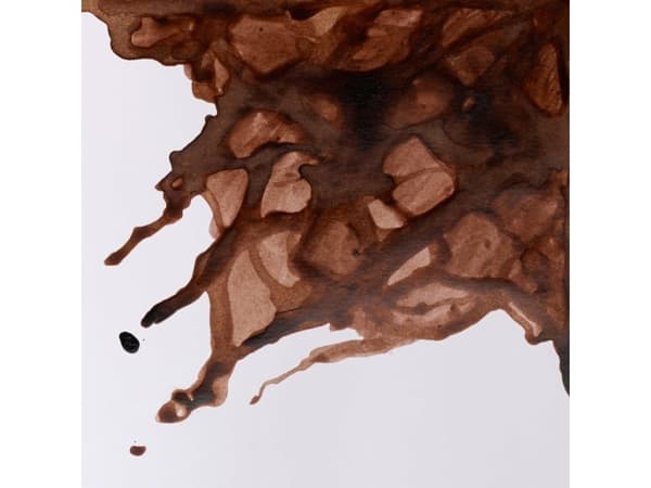 Drawing Ink 14ml Peat Brown 469