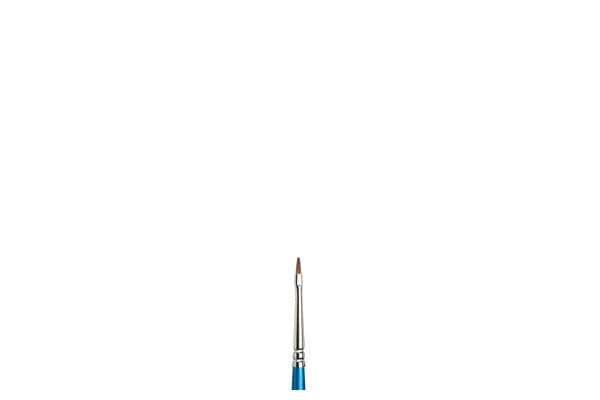 Cotman Series 555 NO 1