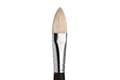 Miniatyrbilde 1 av 2: W&N Azanta Black Filbert 12