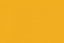 Trainer Yellow 22ml