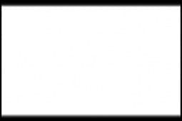 Matt White (Flat) 22ml