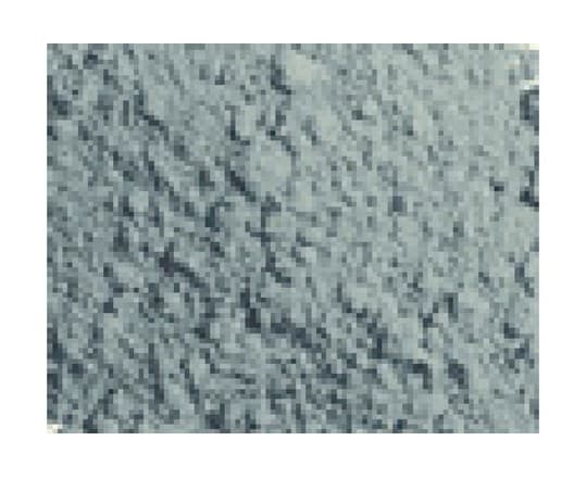 Vallejo Pigment Light Siena 73104