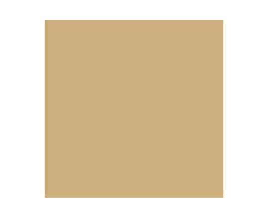 Vallejo Paint Nr120 Buff Matt 17ml