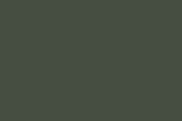 Vallejo Vallejo Model Air US Forest Green 71.294 uniwersalny