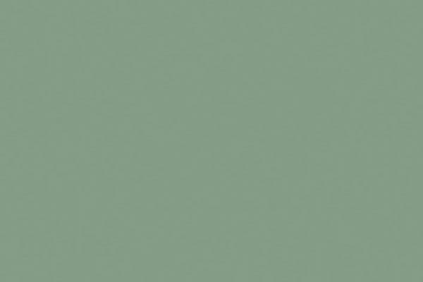 Model Air 17ml interior grey green