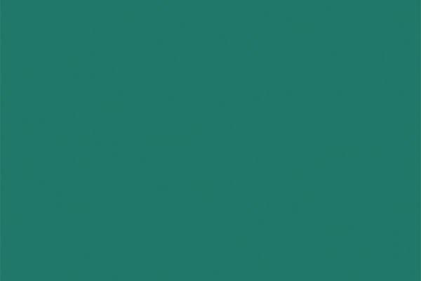 Vallejo Vallejo Model Air Light Green RLM25 71.267 uniwersalny