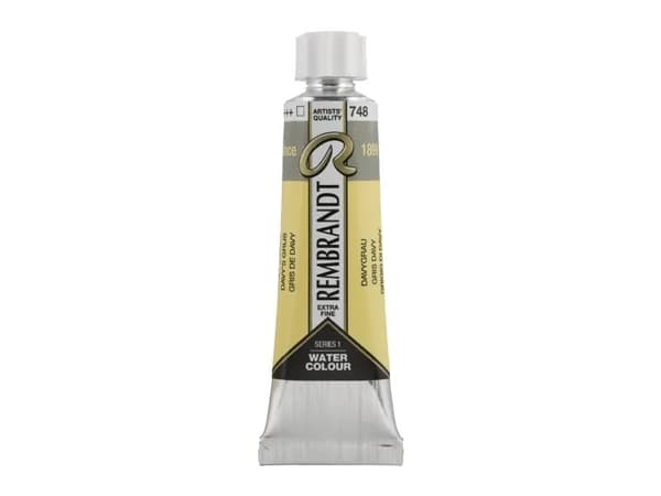Rembrandt Watercolour Tube Davy'S Grey 748
