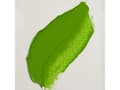 Miniatyrbilde 4 av 5: Rembrandt Oil Colour Tube Permanent Green Light 618