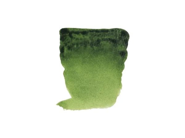 Rembrandt Watercolour Tube Sap Green 623