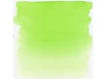 Miniatyrbilde 1 av 5: Ecoline Liquid Watercolour Bottle Light Green 601