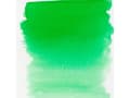 Pikkukuva 1 / 5: Ecoline Liquid Watercolour Bottle Forest Green 656