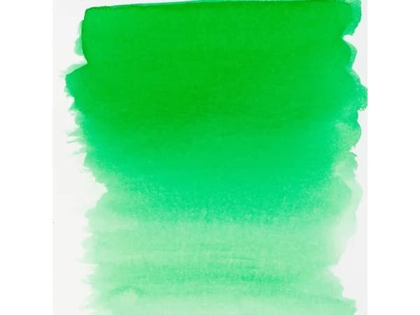 Ecoline Liquid Watercolour Bottle Forest Green 656
