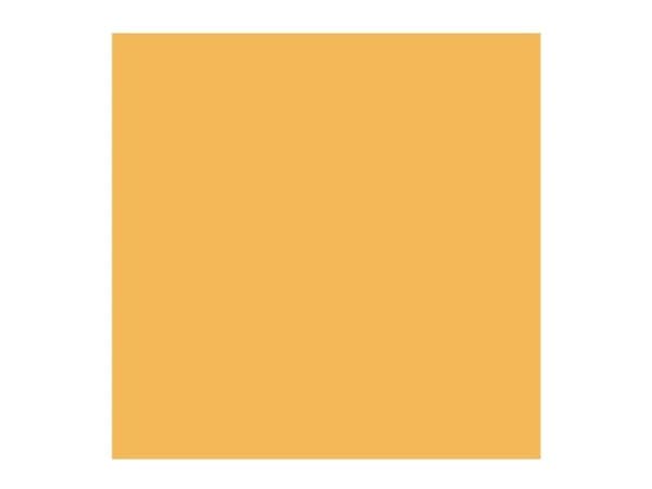 Rembrandt Oil Colour Tube Light Gold 802