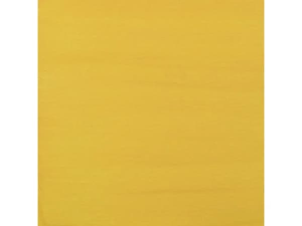 Amsterdam Acrylic Ink Bottle Naples Yellow Deep 223