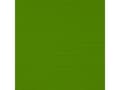 Miniatyrbild 1 av 5: Rembrandt Acrylic Colour Tube Permanent Green Light 618