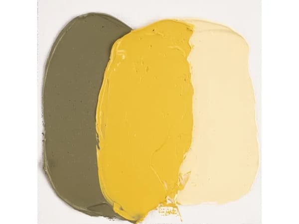 Cobra Artist Water-Mixable Oil Colour Tube Naples Yellow Deep 223