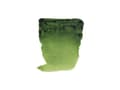 Miniatyrbilde 5 av 5: Rembrandt Watercolour Tube Sap Green 623