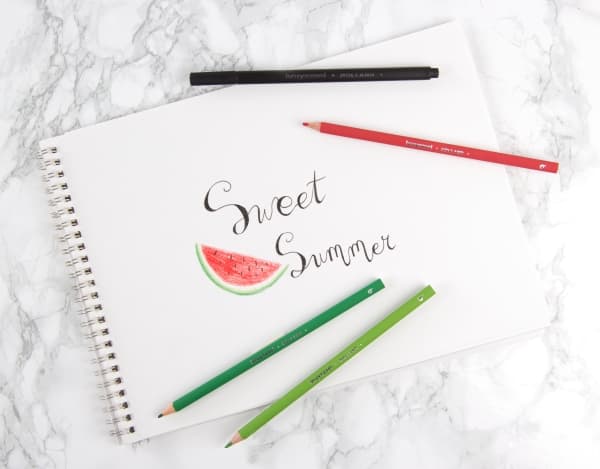 BRUYNZEEL SAKURA Bruynzeel Soft grip colour pencil tin light | 12 colours
